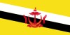 Brunei Darussalam drapeau grand