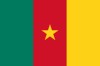 Cameroun drapeau grand