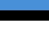 爱沙尼亚 旗大