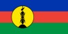 New Caledonia  flag  big