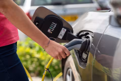 top-electric-vehicle-companies-in-world